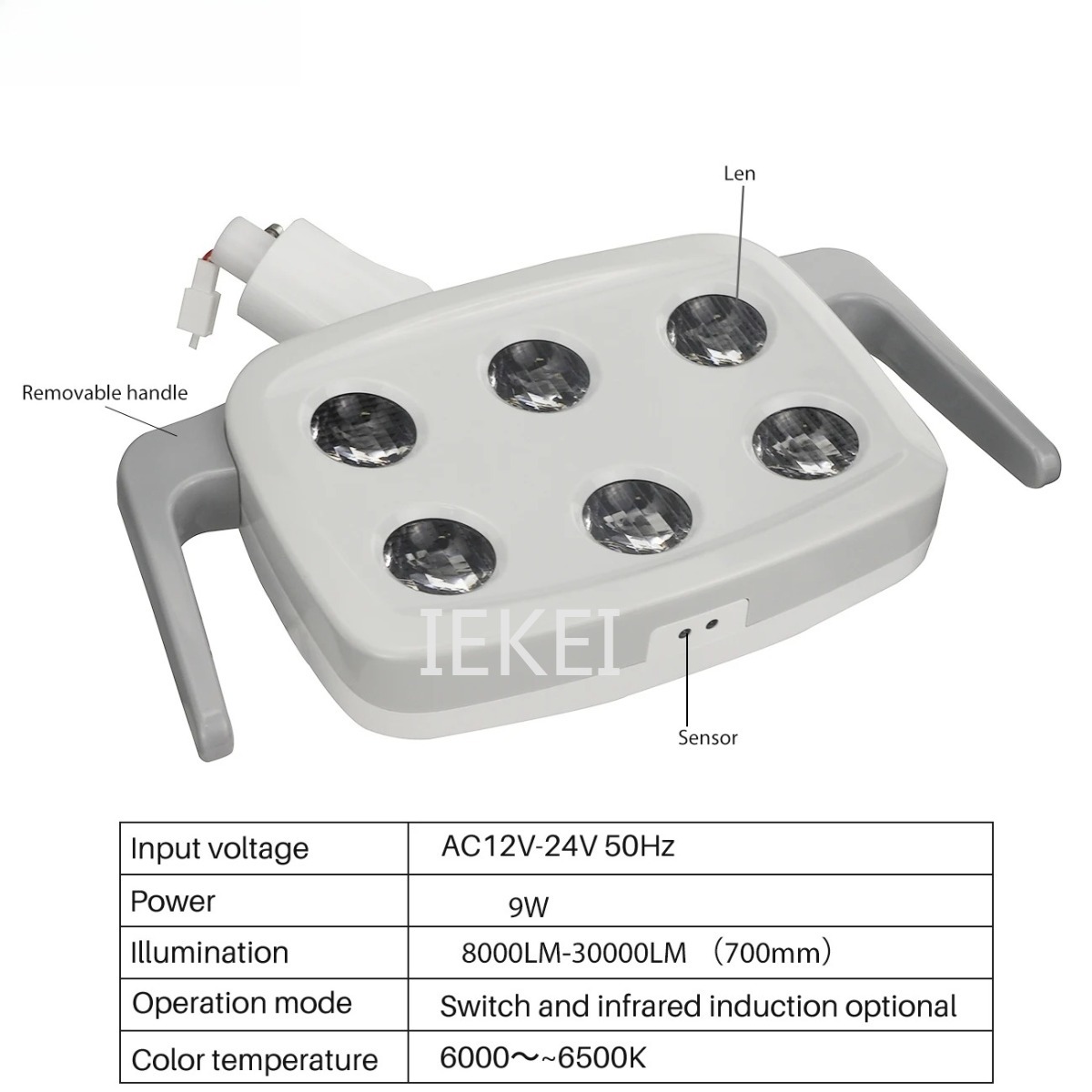 6LED Dental Oral Light Suitabl - Teeth Whitening Light recensione e prezzo