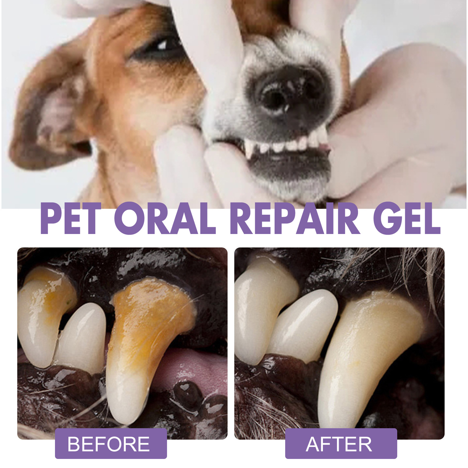 Pet Oral Repair Gel Puppy Tart - Teeth Whitening Near Me recensione e prezzo
