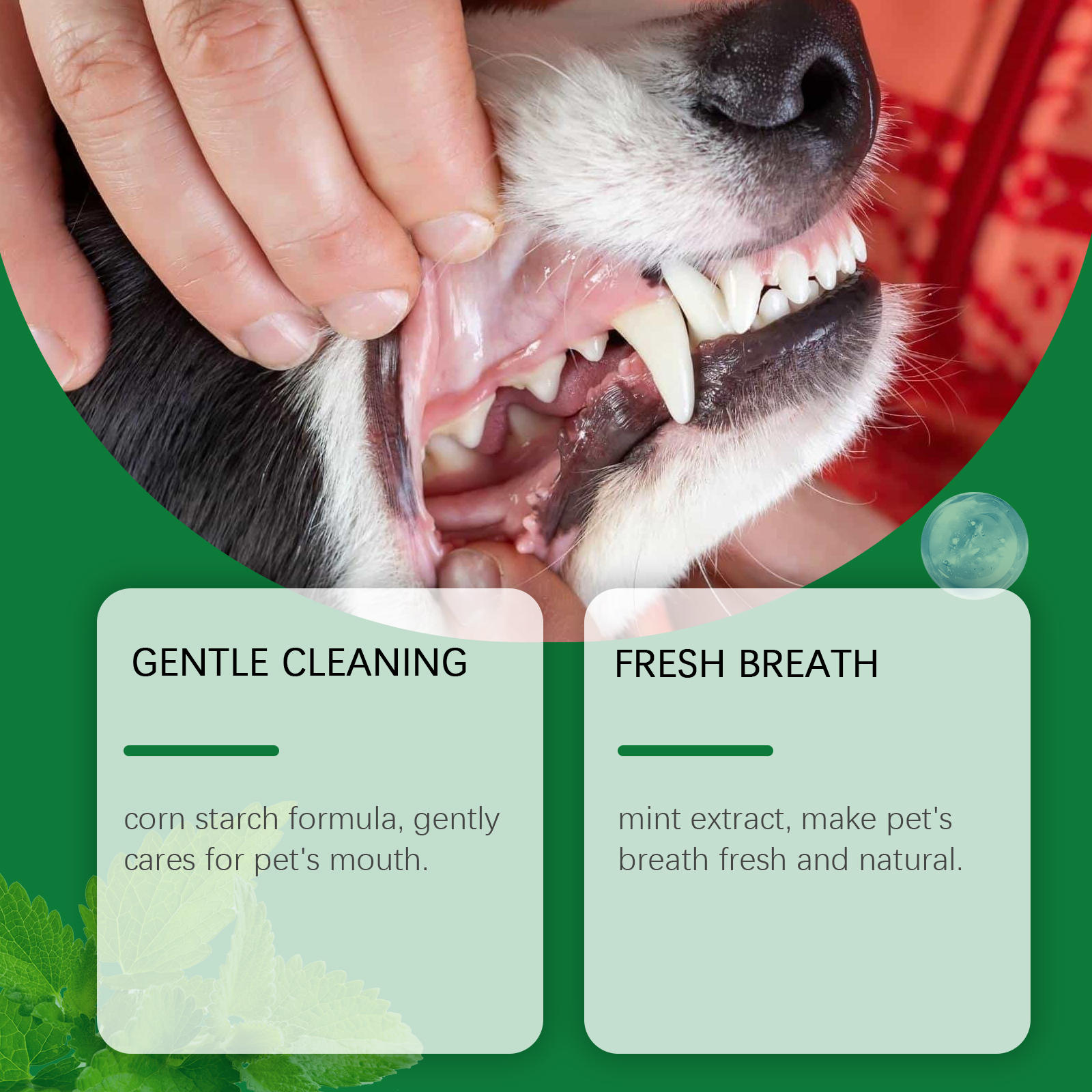 Pet Teeth Cleaning Powder Redu - Teeth Whitening Near Me recensione e prezzo