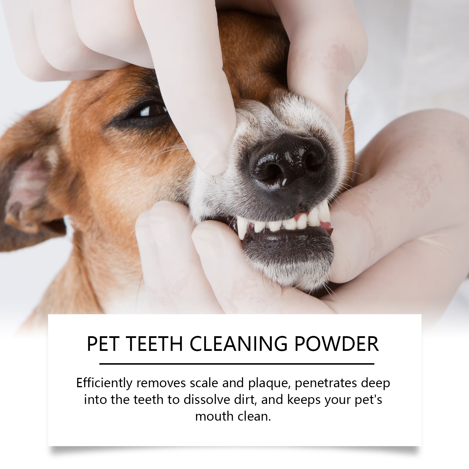 Pet Teeth Cleaning Powder Redu - Teeth Whitening Near Me recensione e prezzo