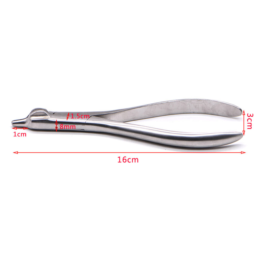 Dental Plier Forceps Dental La - Teeth Whitening Lab recensione e prezzo