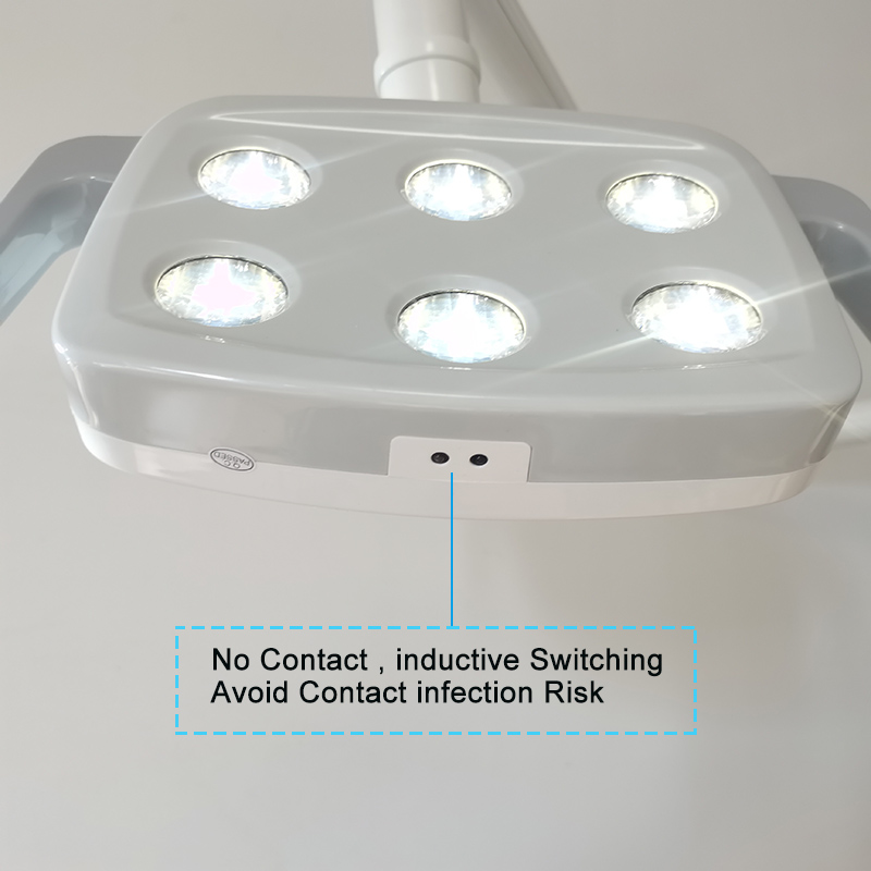 6LED Dental LED Lamp Oral Ligh - Teeth Whitening Light recensione e prezzo