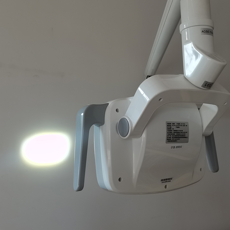 6LED Dental LED Lamp Oral Ligh - Teeth Whitening Light recensione e prezzo