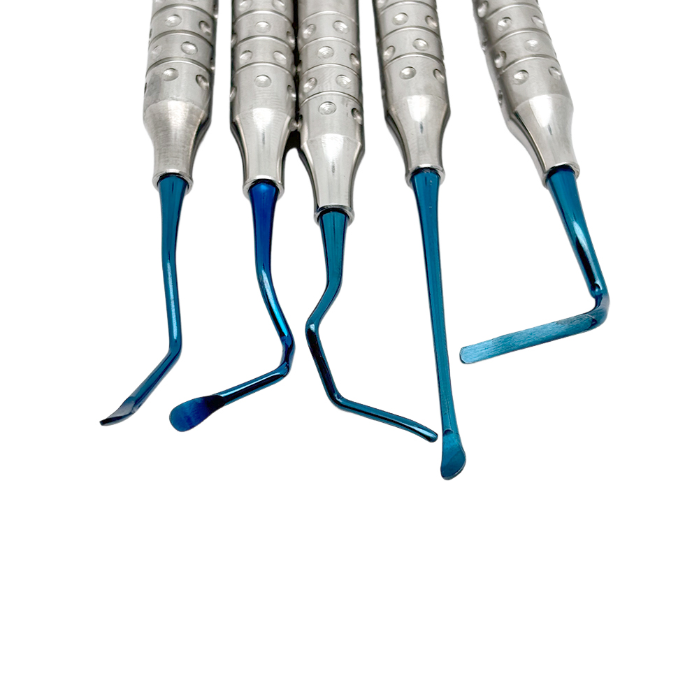 5Pcs/box Dentist Vista Tunneli - Teeth Whitening Procedure recensione e prezzo